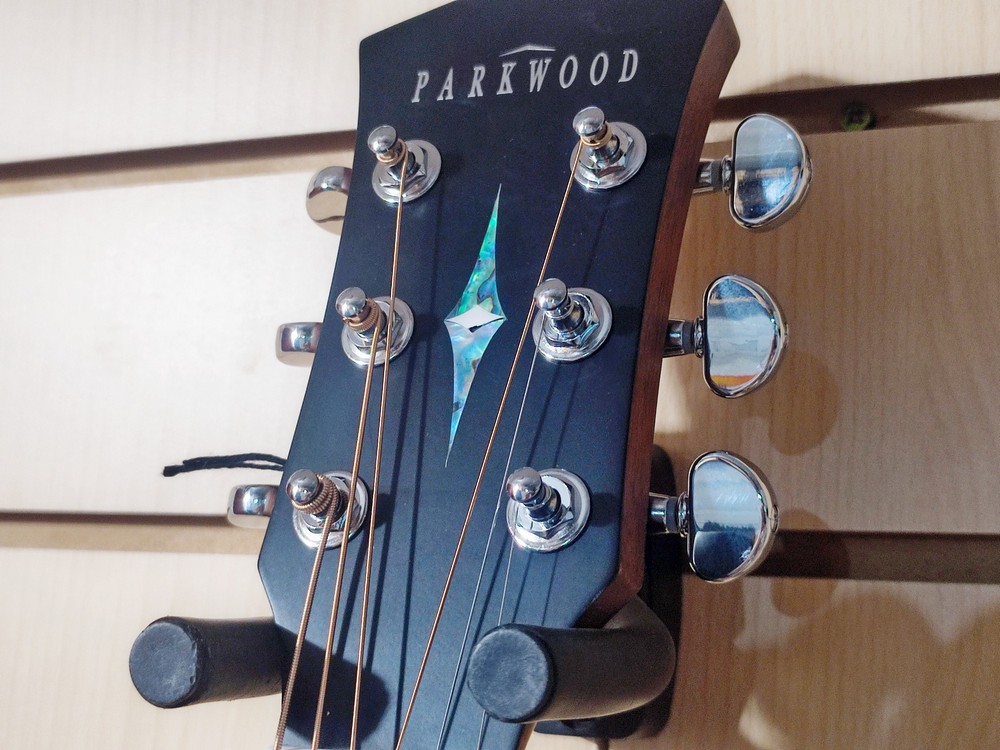 картинка Акустическая гитара, с чехлом, матовая, Parkwood  S22M-NS  от магазина 7 Нот Уральск