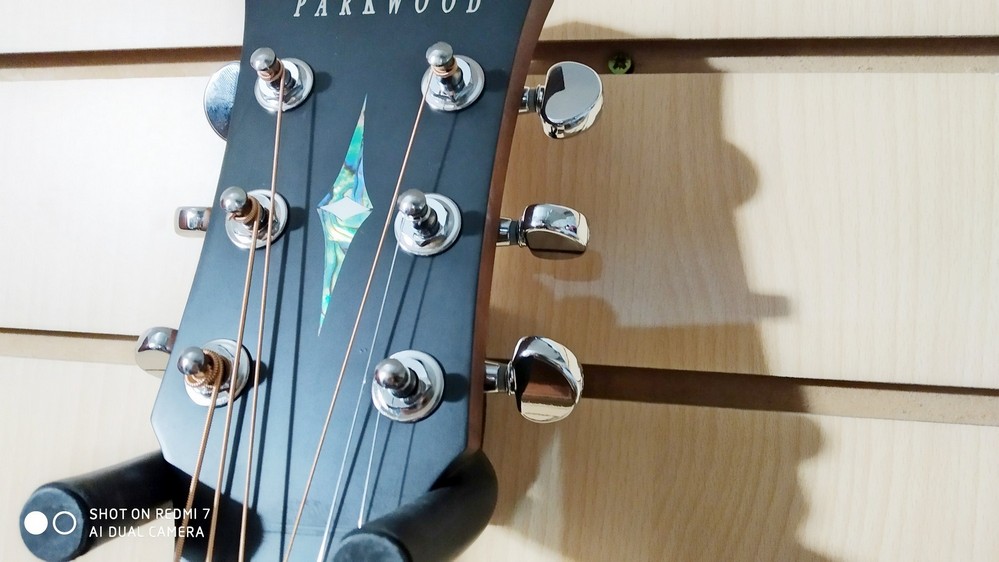 картинка  Акустическая гитара, с чехлом, матовая, Parkwood S22M-NS от магазина 7 Нот Уральск